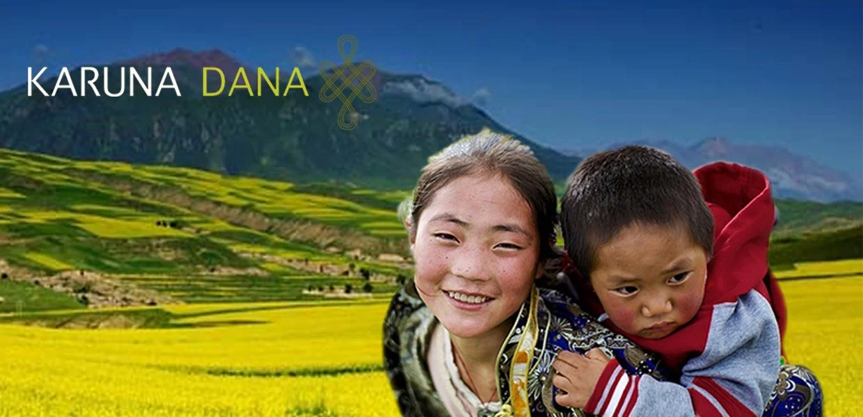 karunadana proyecto karunadana proyecto