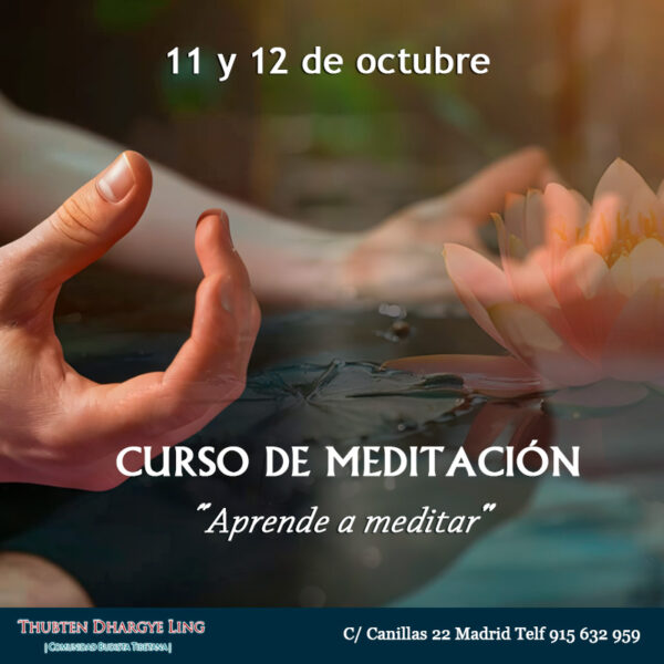 Curso intensivo de Meditación