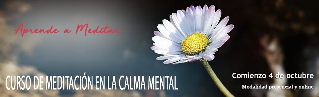 calma mental octubre 23 mañanas
