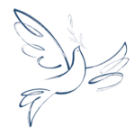 premio paz