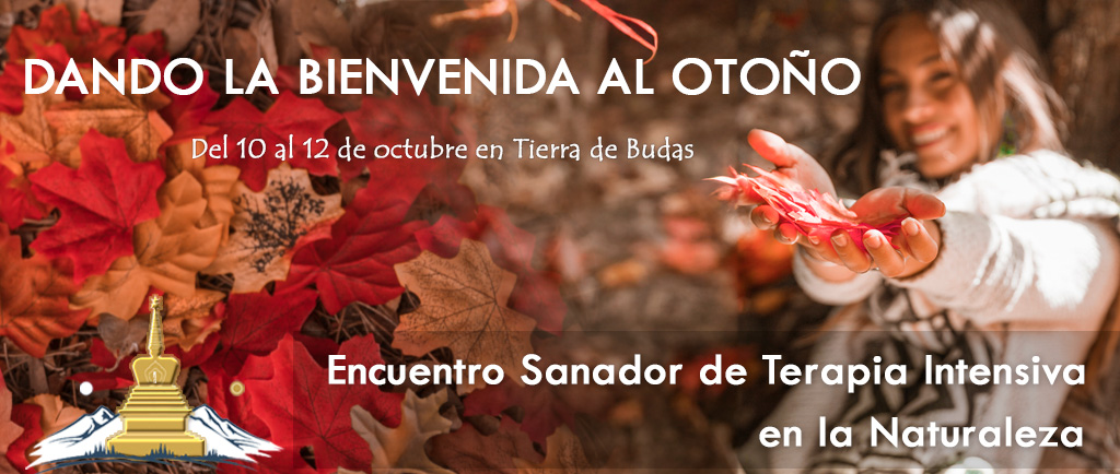 DANDO LA BIENVENIDA AL OTOÑO oct 25