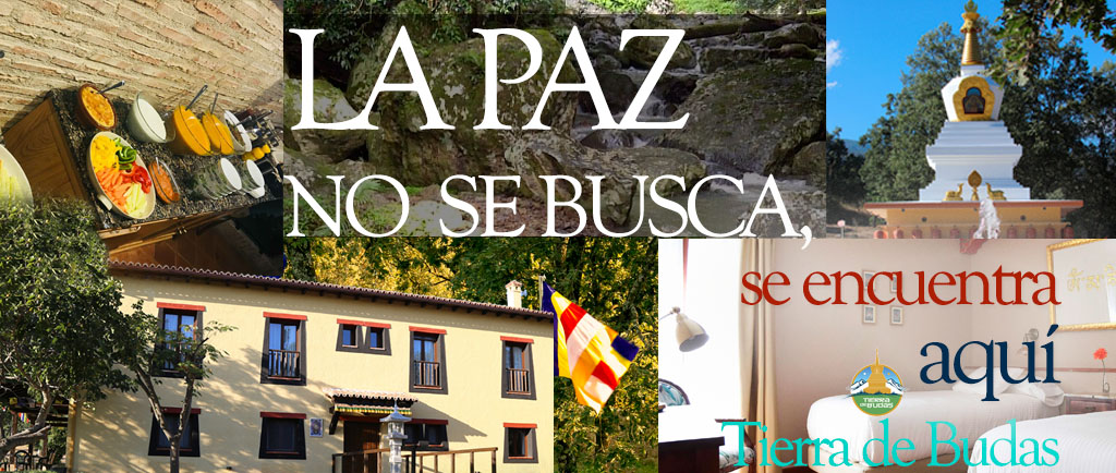 banner portada hotel verano 2025