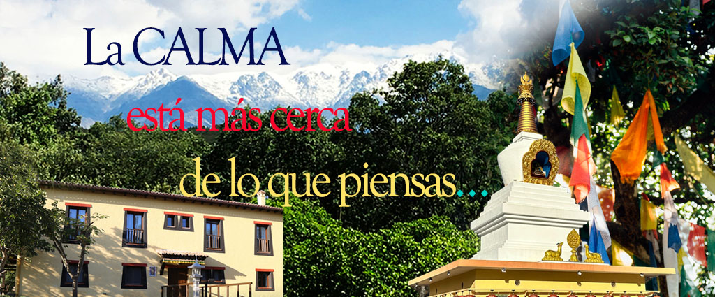LA CALMA 2025 hotel banner