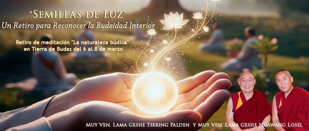 semillas de luz banner exterior