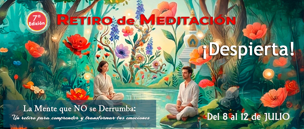 DESPIERTA exterior julio 2026