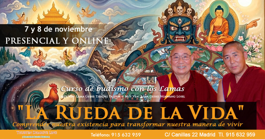 La Rueda de la Vida
